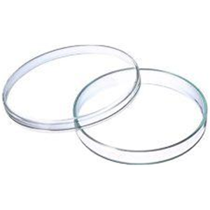 Livingstone Petri Dish