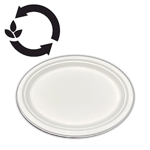 Sugarcane Oval Plates