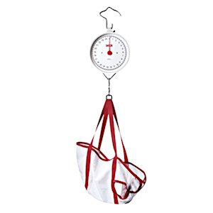 Seca 310 Dial Hanging Scale