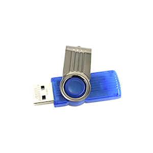Livingstone USB Flash Drive