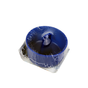 WEBSTERCARE PIL-BOB PILL DISPENSER EA
