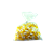 Plasticware-Test Tubes Polypropylene